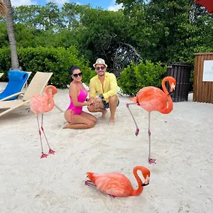 https://punta-cana-bavaro-suites-pool-beach.comcaribbean.com