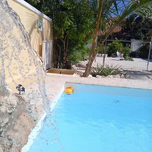 https://ave-fenix.comcaribbean.com